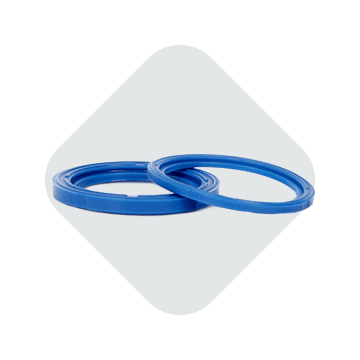 Rod Buffer Seals